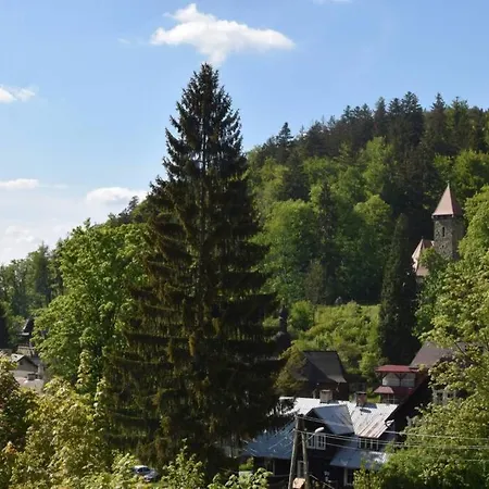 Sniezka Апартаменты Мендзыгуже