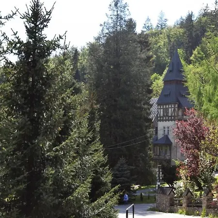 Sniezka Апартаменты Мендзыгуже