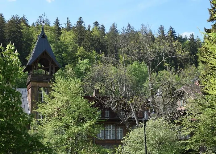 Sniezka * 미에드지고르체